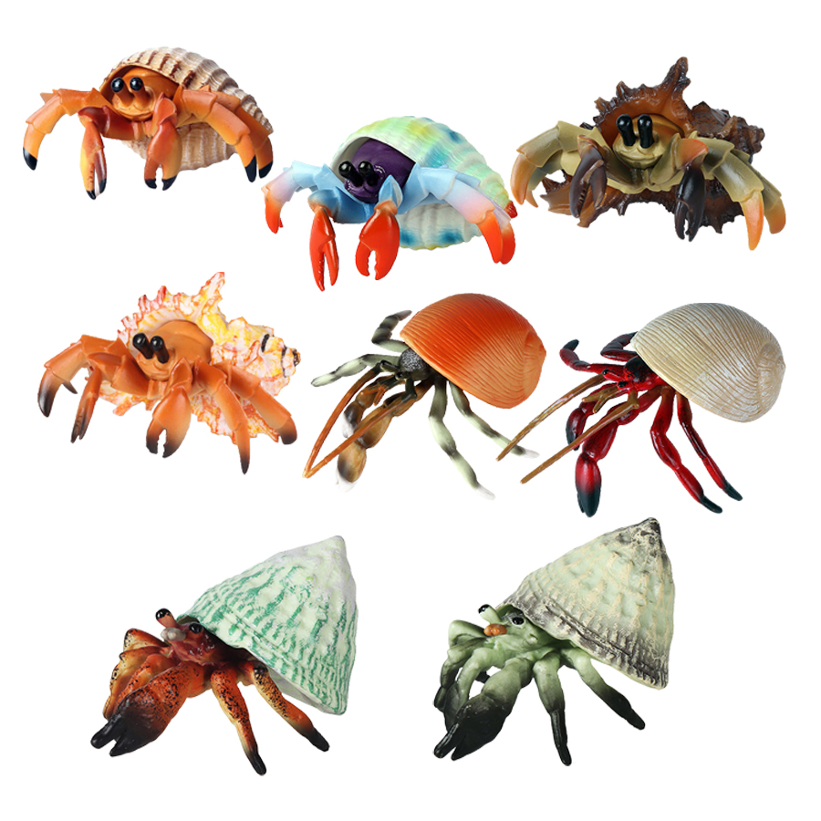 Zeedieren Speelgoed Koning kra - Kids Toys Reviews recensie en prijs