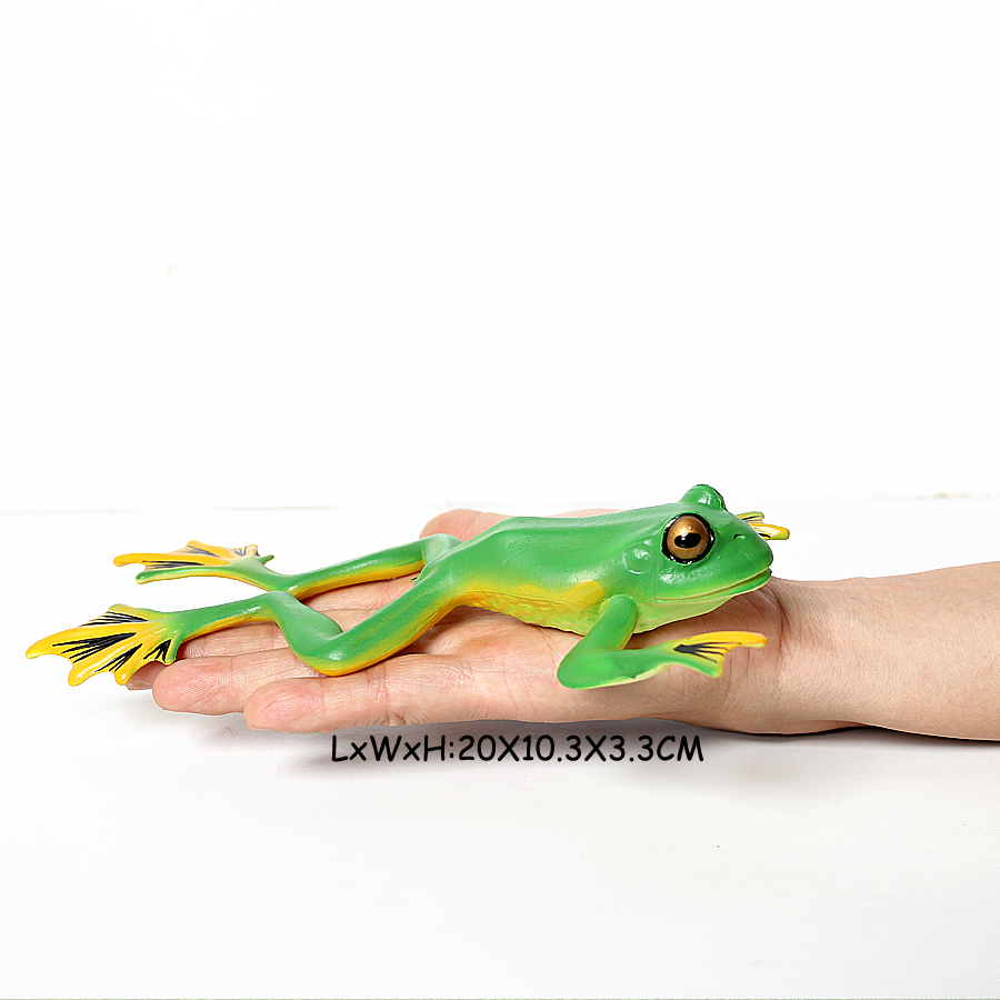 Kikkers Modellen Wilde Dieren  - Kids Toys Reviews recensie en prijs
